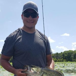 Meet your Posher, Jesse